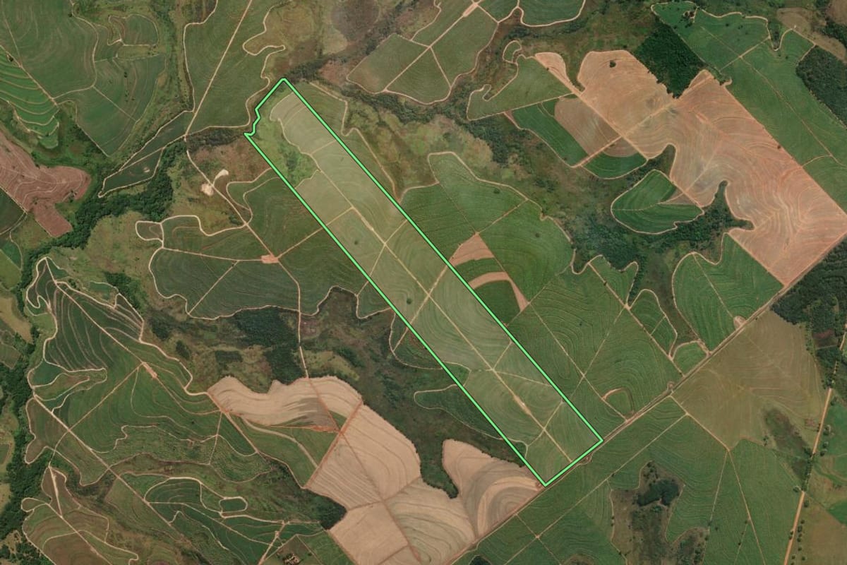 Imagem de satélite do imóvel rural em Guararapes (SP), com o contorno declarado no CAR desenhado por cima.