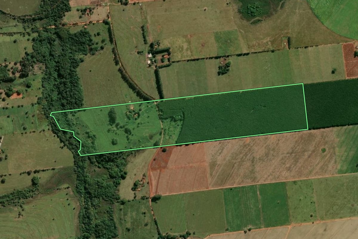 Imagem de satélite do imóvel rural em Guararapes (SP), com o contorno declarado no CAR desenhado por cima.