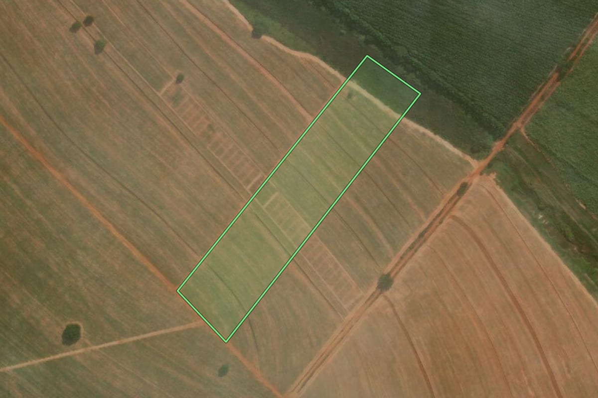 Imagem de satélite do imóvel rural em Guararapes (SP), com o contorno declarado no CAR desenhado por cima.