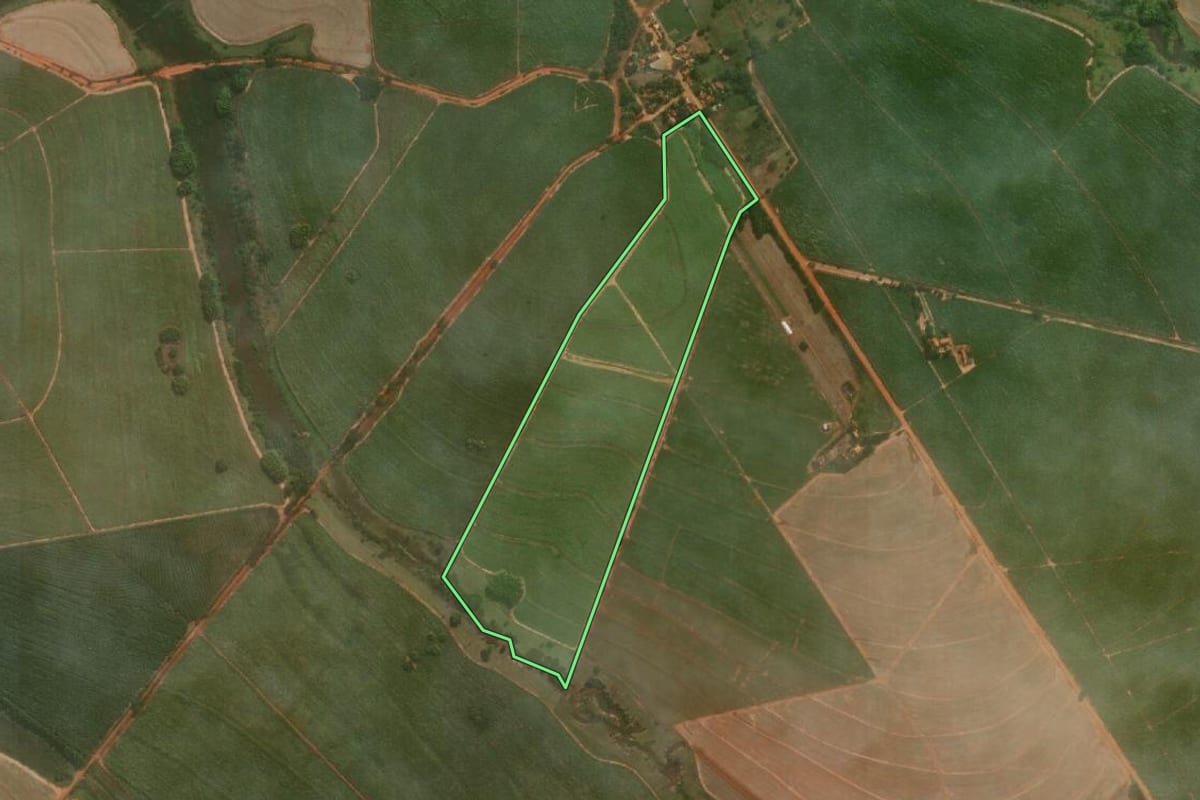 Imagem de satélite do imóvel rural em Guararapes (SP), com o contorno declarado no CAR desenhado por cima.