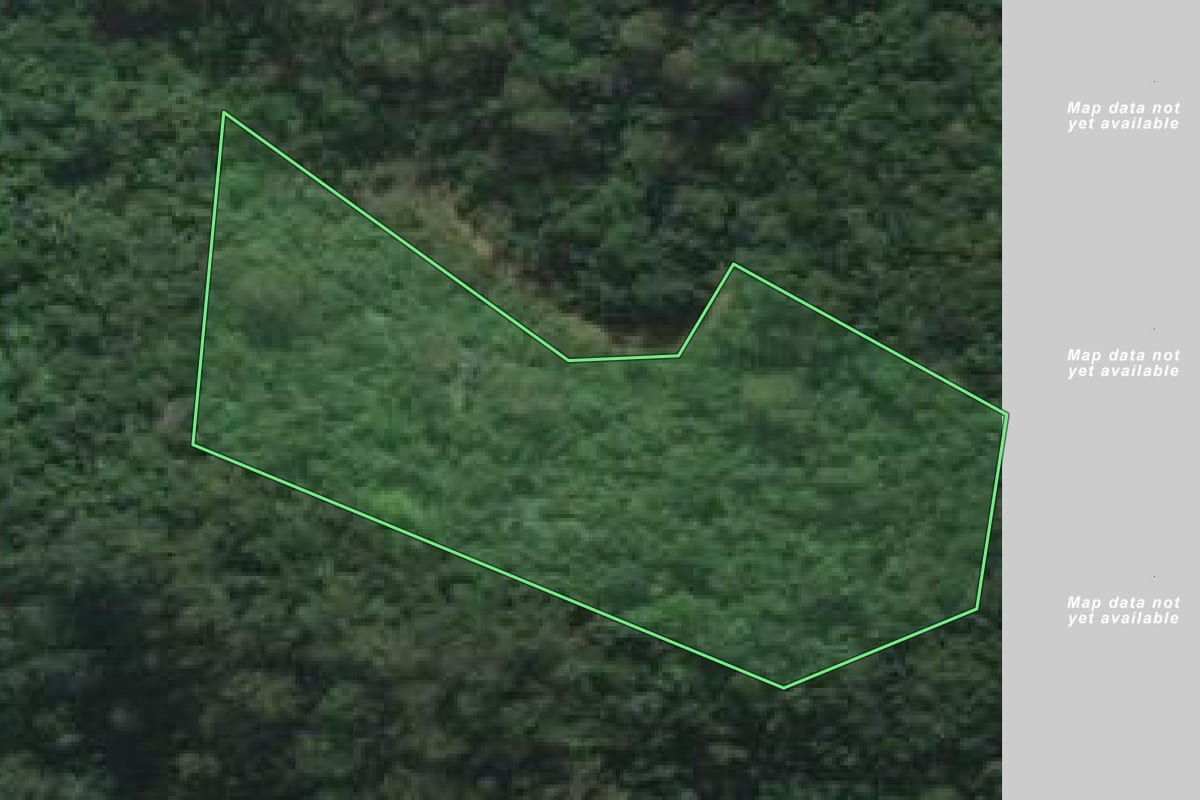 Imagem de satélite do imóvel rural em Guararema (SP), com o contorno declarado no CAR desenhado por cima.