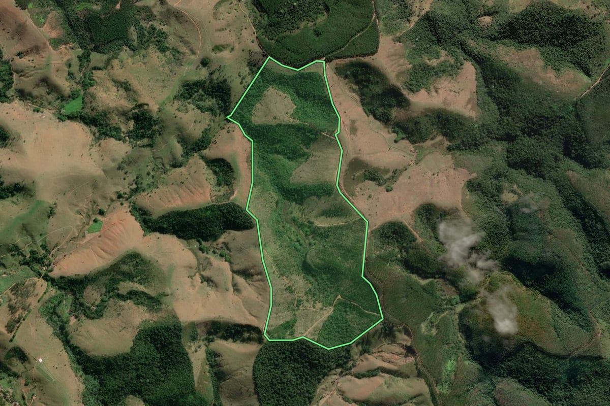 Imagem de satélite do imóvel rural em Guaratinguetá (SP), com o contorno declarado no CAR desenhado por cima.