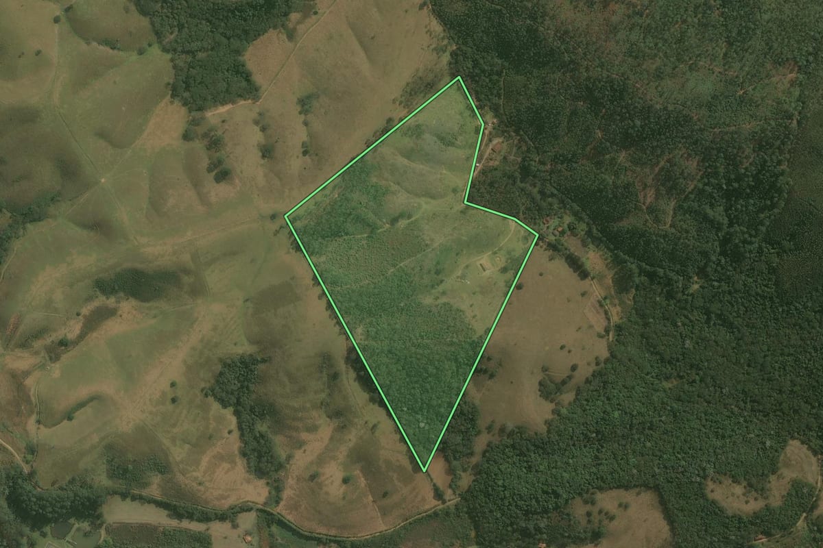 Imagem de satélite do imóvel rural em Guaratinguetá (SP), com o contorno declarado no CAR desenhado por cima.
