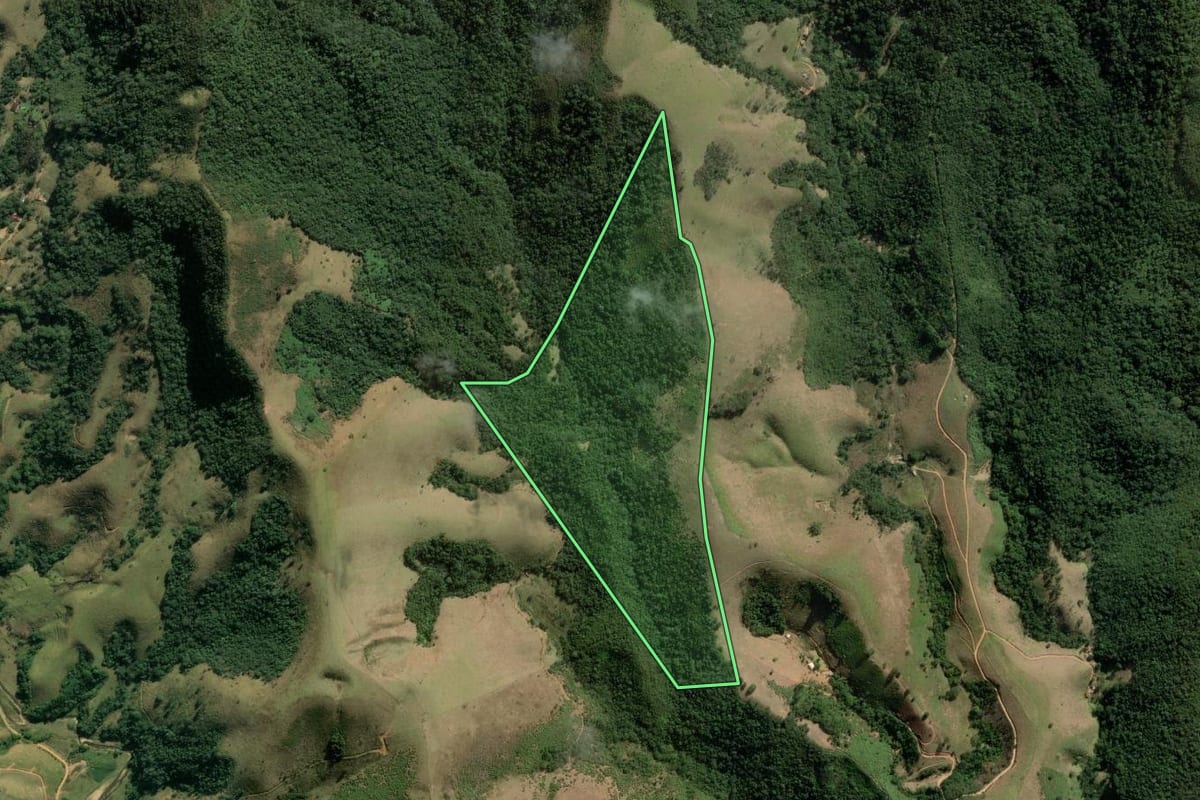 Imagem de satélite do imóvel rural em Guaratinguetá (SP), com o contorno declarado no CAR desenhado por cima.