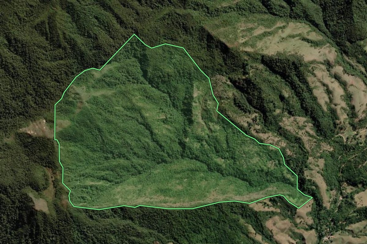 Imagem de satélite do imóvel rural em Guaratinguetá (SP), com o contorno declarado no CAR desenhado por cima.