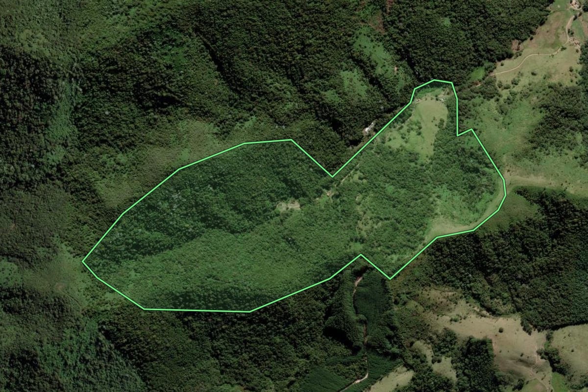 Imagem de satélite do imóvel rural em Guaratinguetá (SP), com o contorno declarado no CAR desenhado por cima.