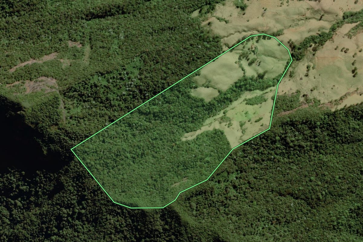 Imagem de satélite do imóvel rural em Guaratinguetá (SP), com o contorno declarado no CAR desenhado por cima.