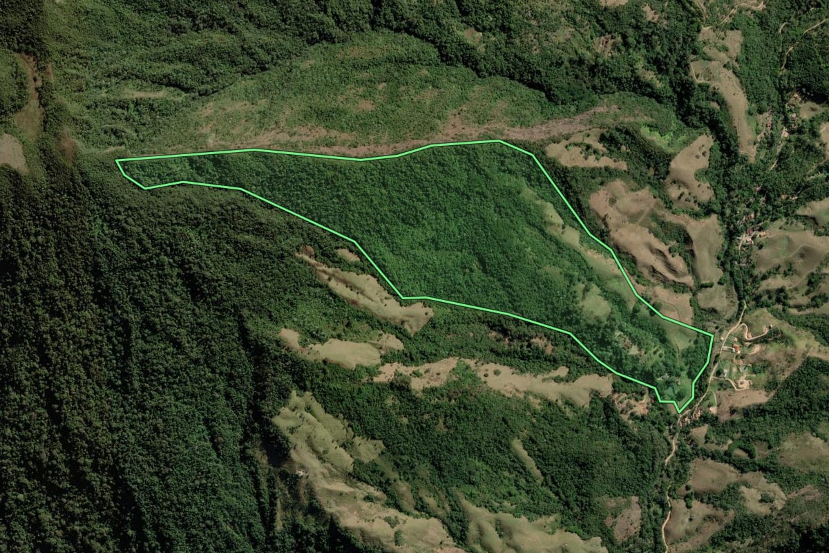 Imagem de satélite do imóvel rural em Guaratinguetá (SP), com o contorno declarado no CAR desenhado por cima.