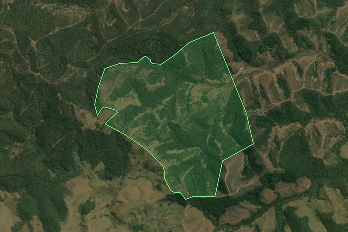 Imagem de satélite do imóvel rural em Guaratinguetá (SP), com o contorno declarado no CAR desenhado por cima.