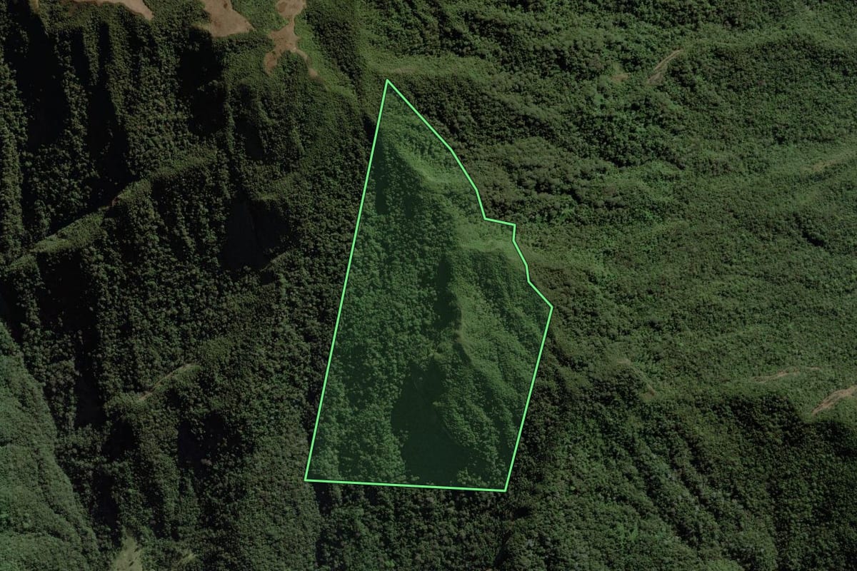 Imagem de satélite do imóvel rural em Guaratinguetá (SP), com o contorno declarado no CAR desenhado por cima.