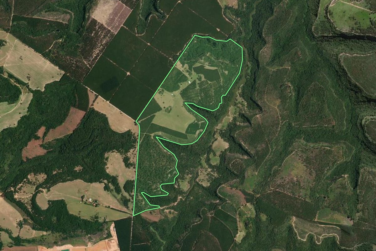 Imagem de satélite do imóvel rural em Guareí (SP), com o contorno declarado no CAR desenhado por cima.