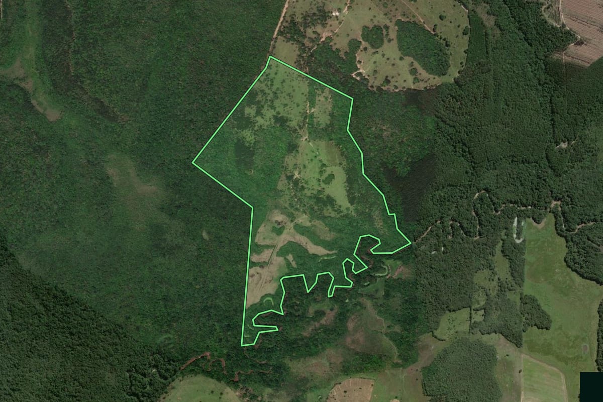 Imagem de satélite do imóvel rural em Guareí (SP), com o contorno declarado no CAR desenhado por cima.