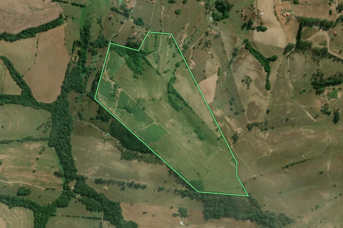Imagem de satélite do imóvel rural em Guareí (SP), com o contorno declarado no CAR desenhado por cima.
