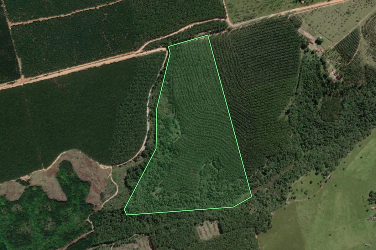 Imagem de satélite do imóvel rural em Guareí (SP), com o contorno declarado no CAR desenhado por cima.