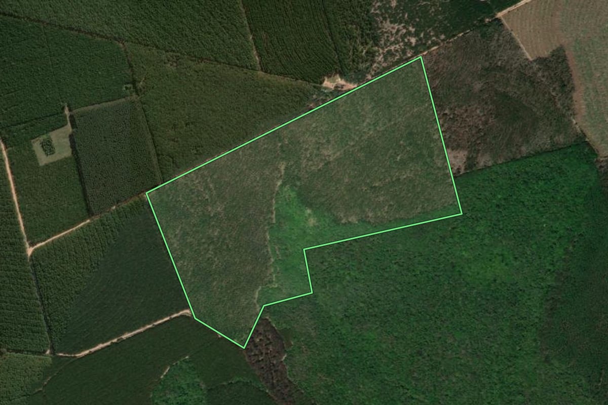 Imagem de satélite do imóvel rural em Guareí (SP), com o contorno declarado no CAR desenhado por cima.