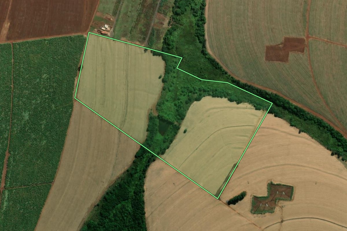 Imagem de satélite do imóvel rural em Guariba (SP), com o contorno declarado no CAR desenhado por cima.