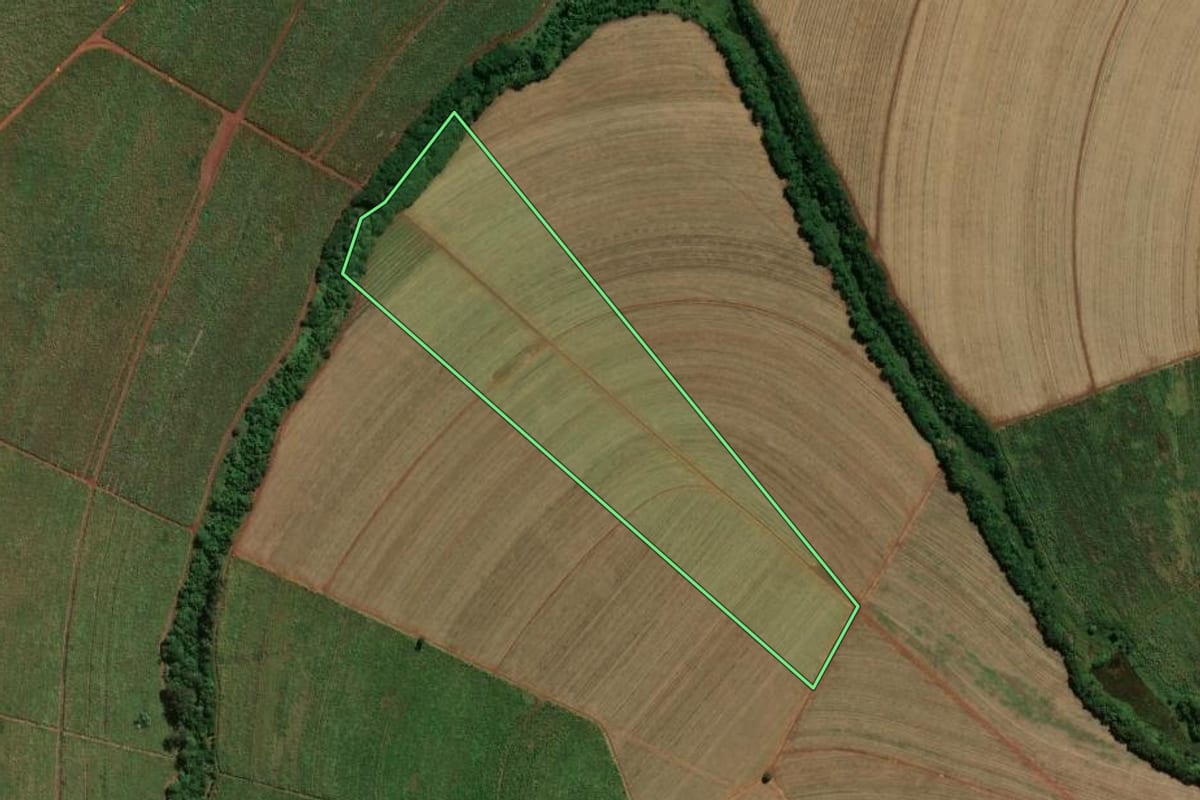 Imagem de satélite do imóvel rural em Guariba (SP), com o contorno declarado no CAR desenhado por cima.