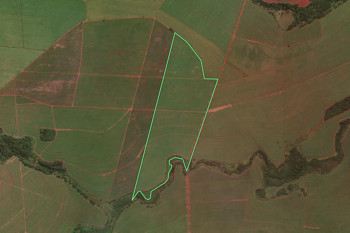Imagem de satélite do imóvel rural em Guariba (SP), com o contorno declarado no CAR desenhado por cima.