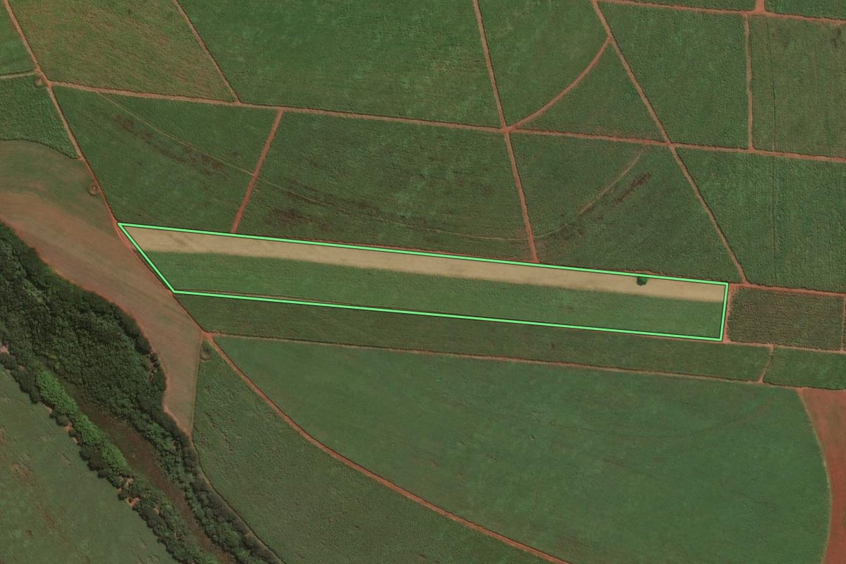 Imagem de satélite do imóvel rural em Guariba (SP), com o contorno declarado no CAR desenhado por cima.