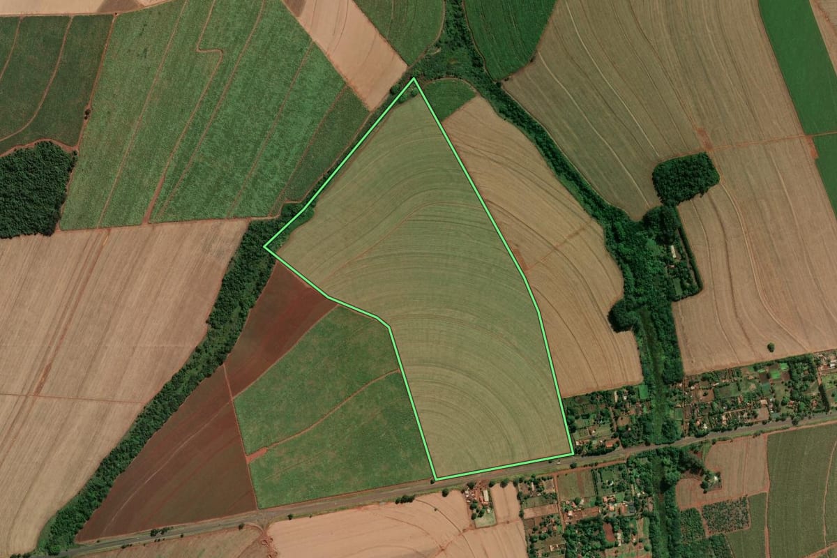 Imagem de satélite do imóvel rural em Guariba (SP), com o contorno declarado no CAR desenhado por cima.