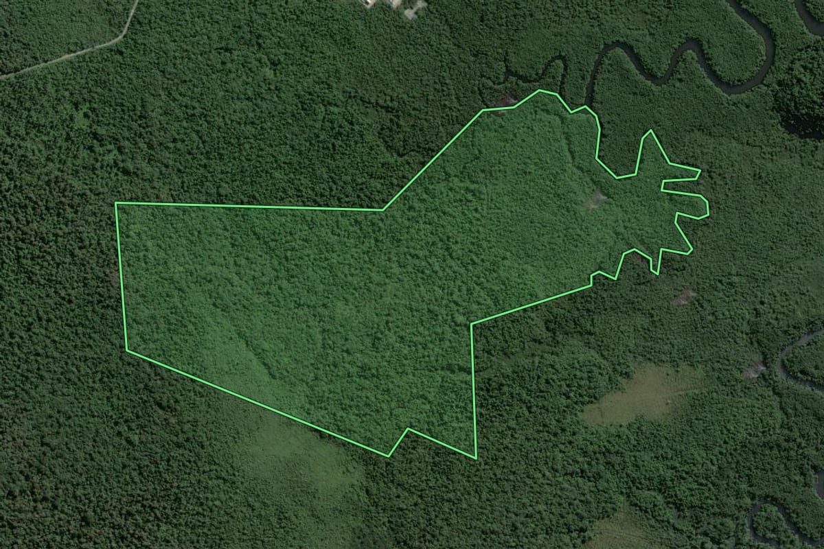 Imagem de satélite do imóvel rural em Guarujá (SP), com o contorno declarado no CAR desenhado por cima.