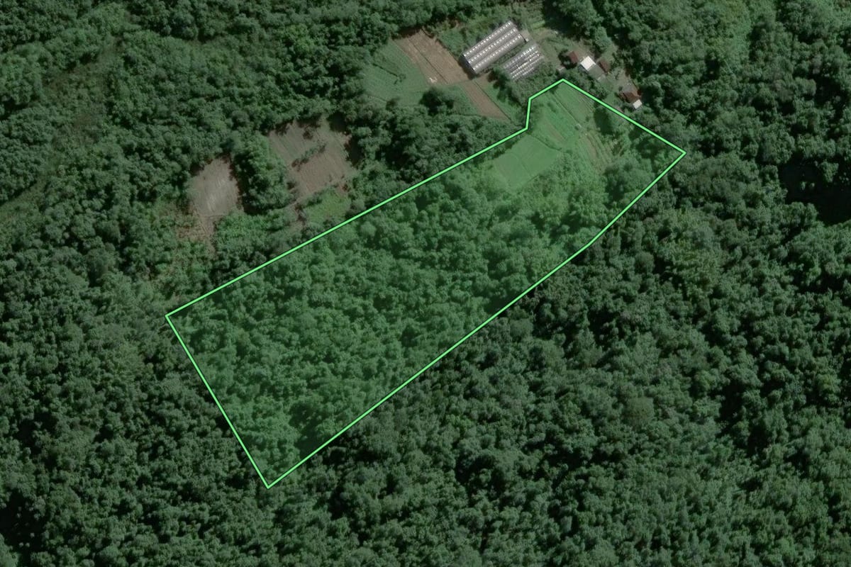 Imagem de satélite do imóvel rural em Guarujá (SP), com o contorno declarado no CAR desenhado por cima.