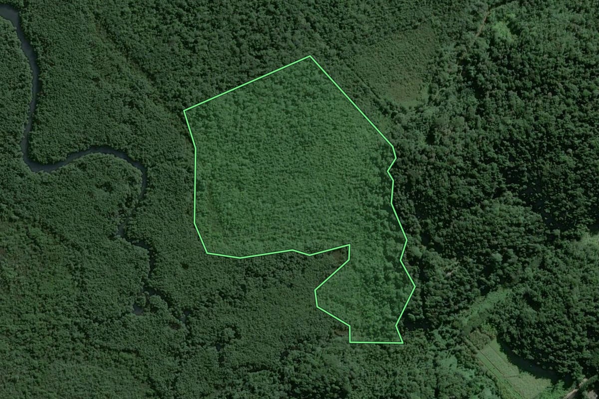 Imagem de satélite do imóvel rural em Guarujá (SP), com o contorno declarado no CAR desenhado por cima.