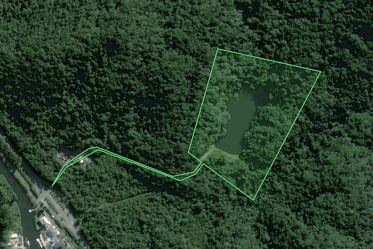 Imagem de satélite do imóvel rural em Guarujá (SP), com o contorno declarado no CAR desenhado por cima.