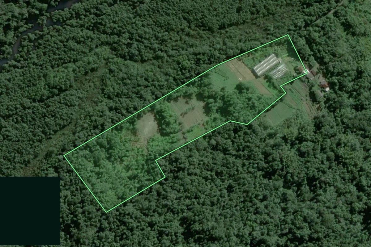 Imagem de satélite do imóvel rural em Guarujá (SP), com o contorno declarado no CAR desenhado por cima.