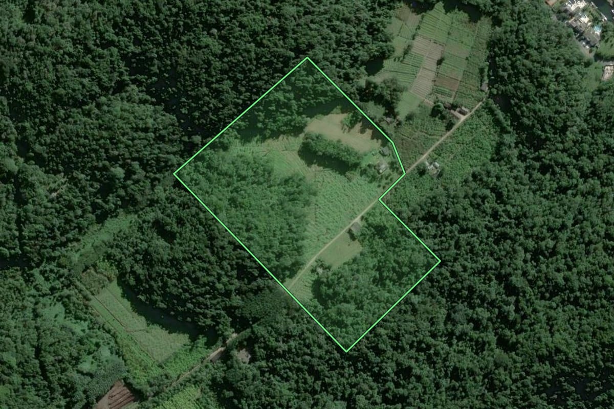 Imagem de satélite do imóvel rural em Guarujá (SP), com o contorno declarado no CAR desenhado por cima.