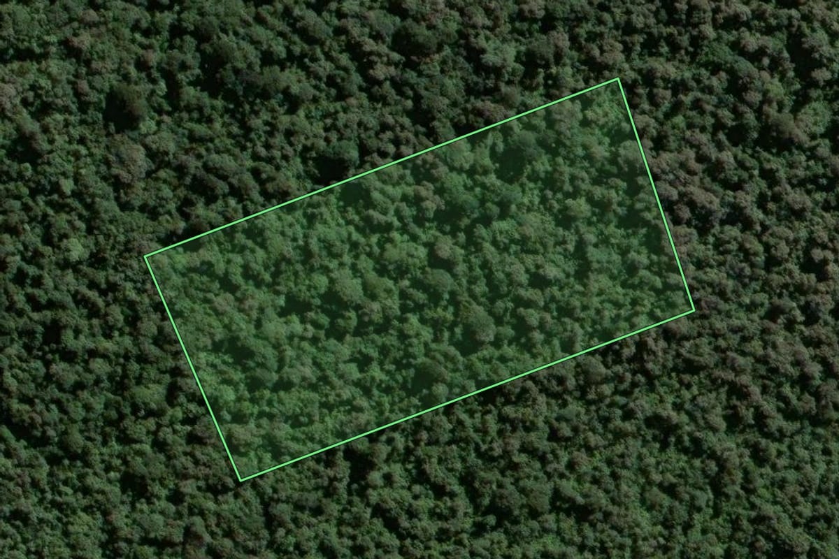 Imagem de satélite do imóvel rural em Guarujá (SP), com o contorno declarado no CAR desenhado por cima.