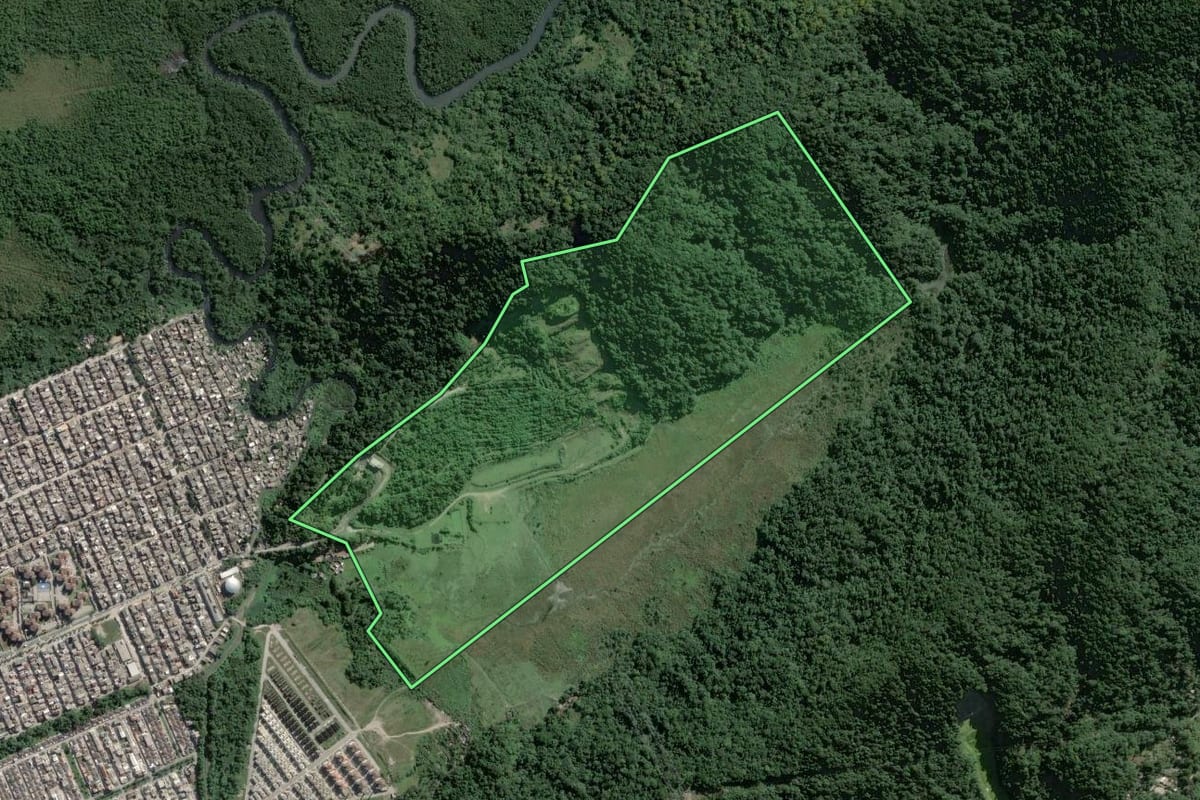 Imagem de satélite do imóvel rural em Guarujá (SP), com o contorno declarado no CAR desenhado por cima.