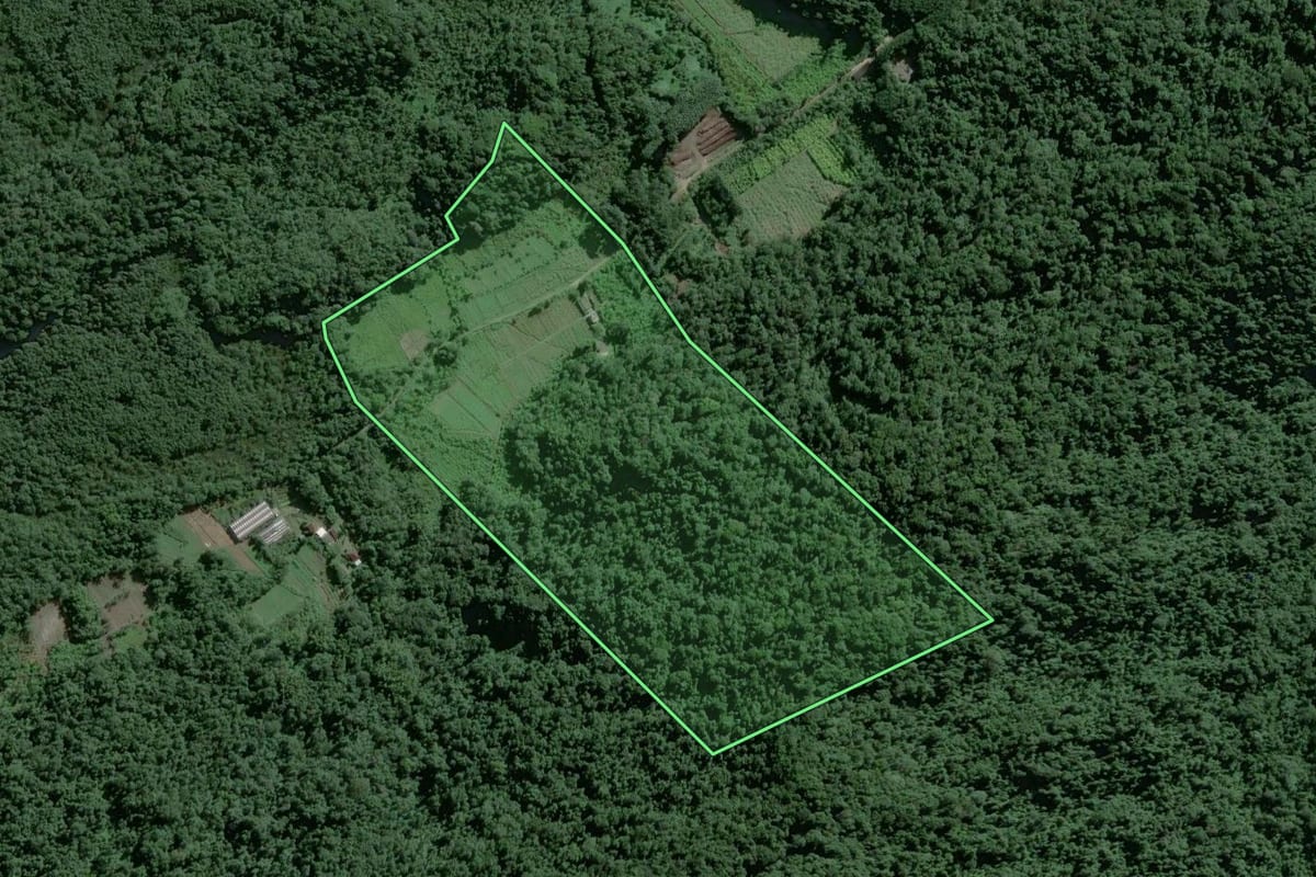 Imagem de satélite do imóvel rural em Guarujá (SP), com o contorno declarado no CAR desenhado por cima.