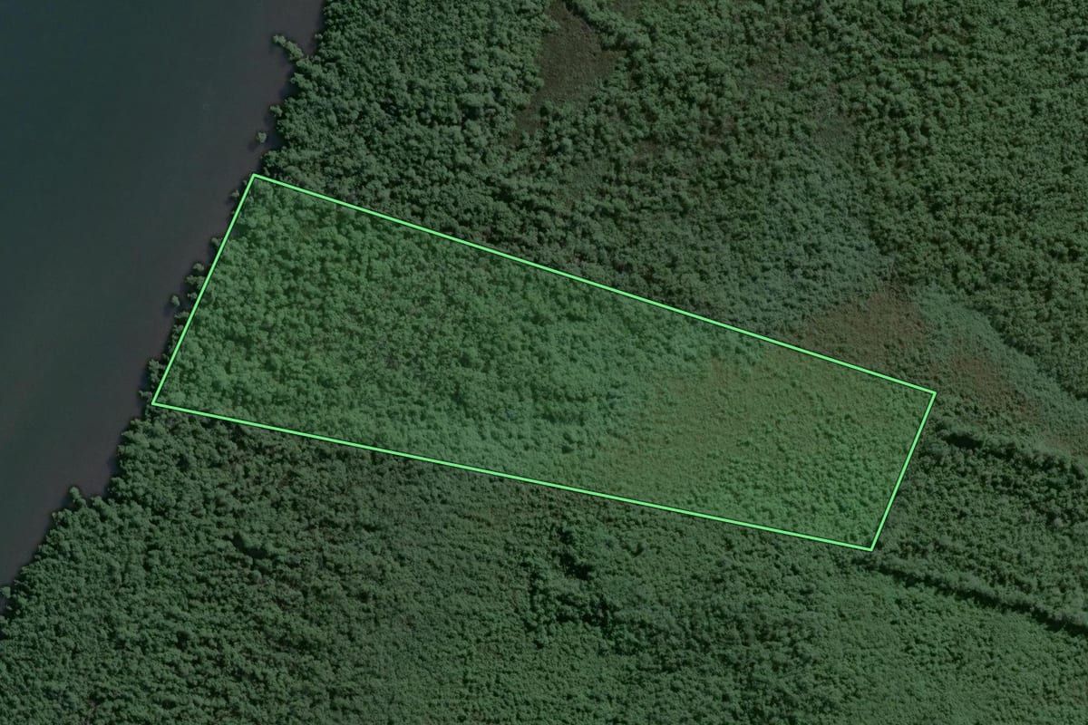 Imagem de satélite do imóvel rural em Guarujá (SP), com o contorno declarado no CAR desenhado por cima.