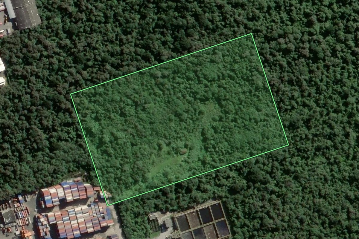 Imagem de satélite do imóvel rural em Guarujá (SP), com o contorno declarado no CAR desenhado por cima.