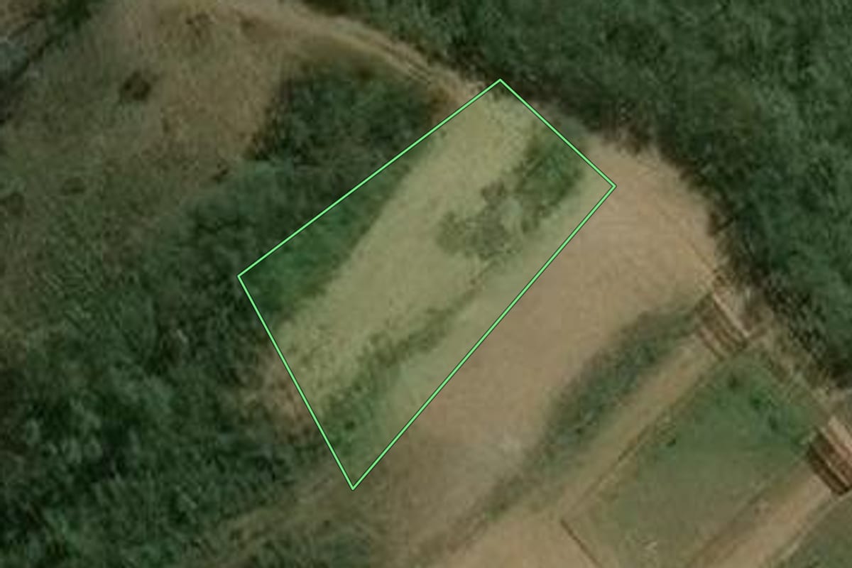 Imagem de satélite do imóvel rural em Guarulhos (SP), com o contorno declarado no CAR desenhado por cima.