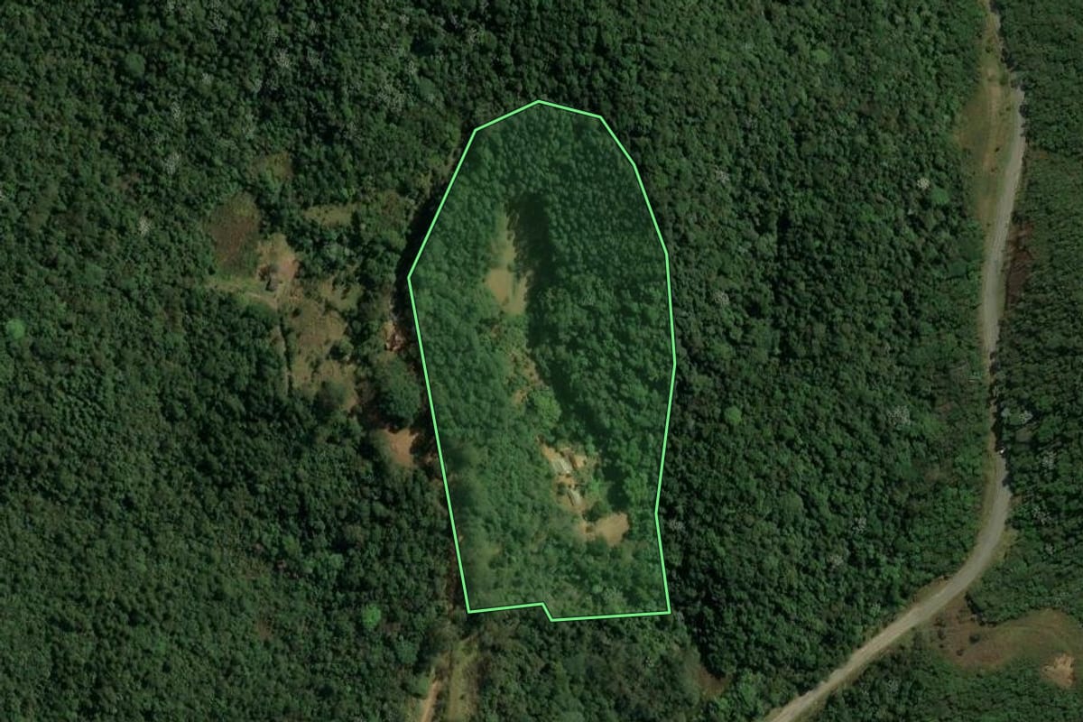 Imagem de satélite do imóvel rural em Guarulhos (SP), com o contorno declarado no CAR desenhado por cima.