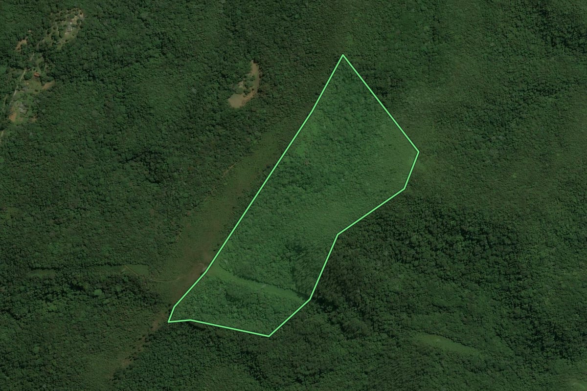 Imagem de satélite do imóvel rural em Guarulhos (SP), com o contorno declarado no CAR desenhado por cima.