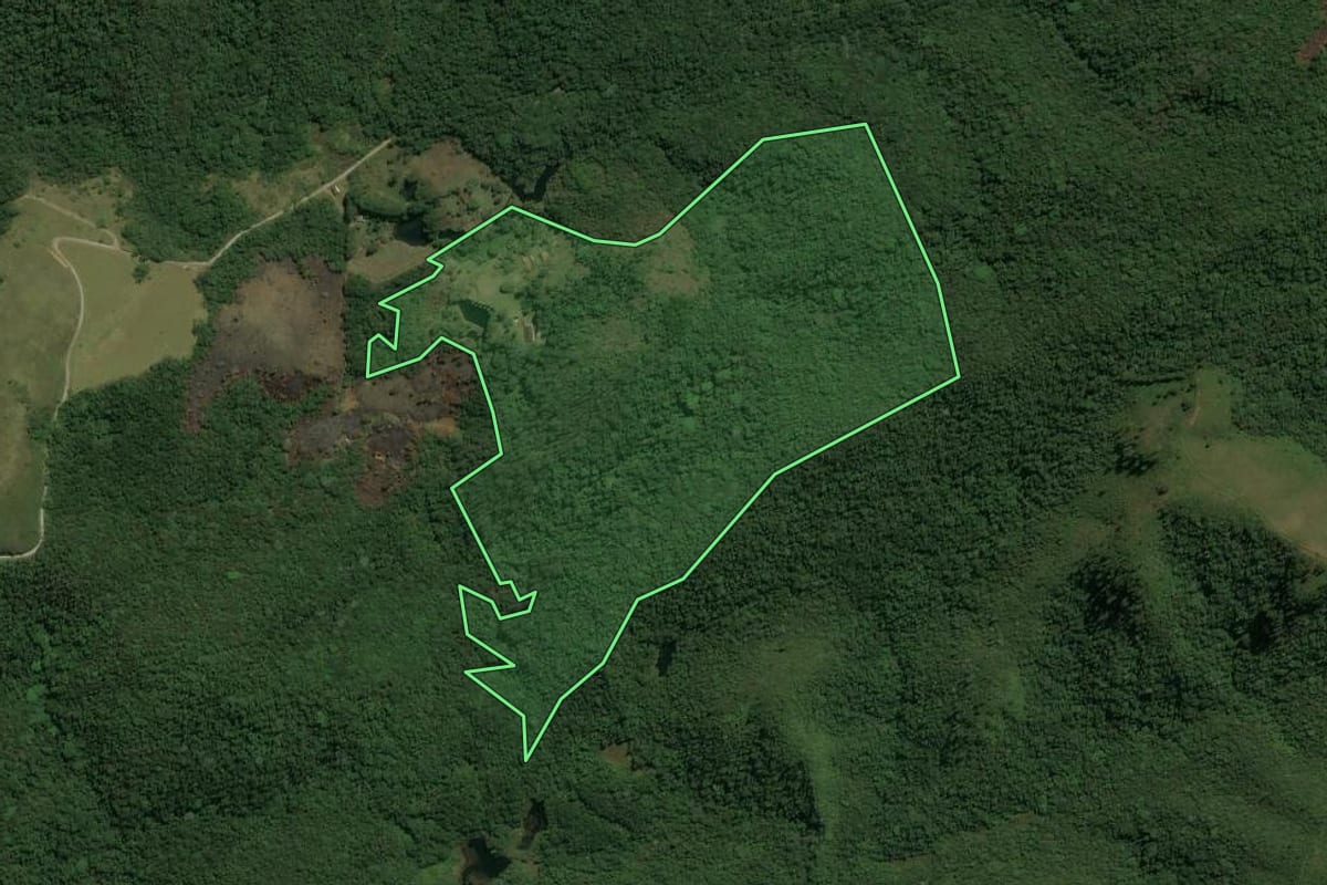Imagem de satélite do imóvel rural em Guarulhos (SP), com o contorno declarado no CAR desenhado por cima.
