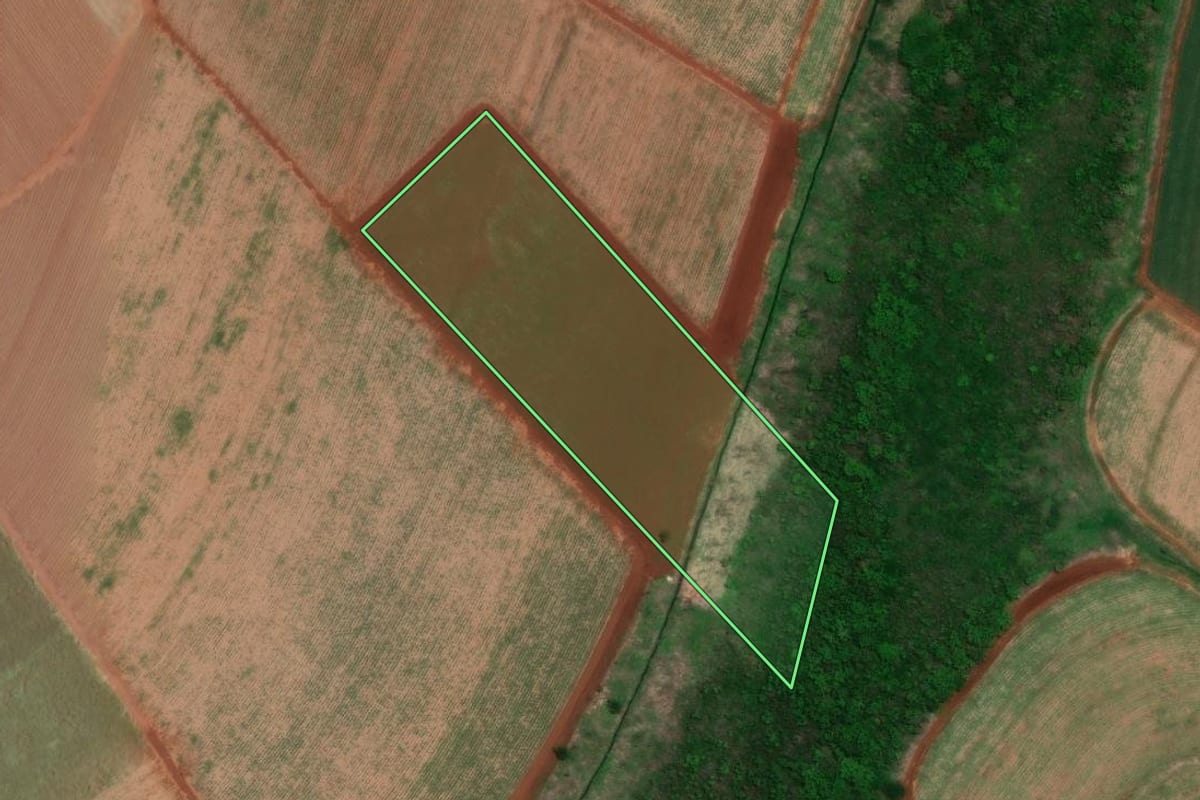 Imagem de satélite do imóvel rural em Guatapará (SP), com o contorno declarado no CAR desenhado por cima.
