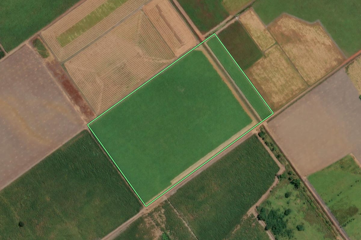 Imagem de satélite do imóvel rural em Guatapará (SP), com o contorno declarado no CAR desenhado por cima.
