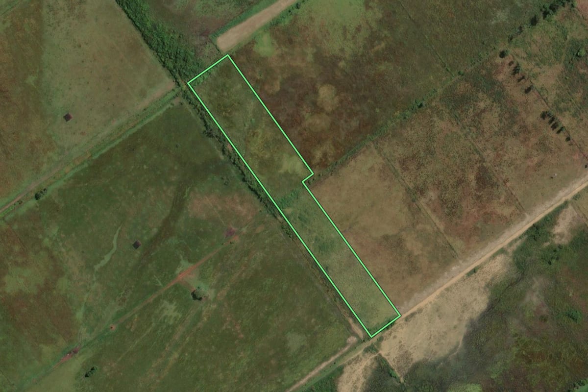 Imagem de satélite do imóvel rural em Guatapará (SP), com o contorno declarado no CAR desenhado por cima.