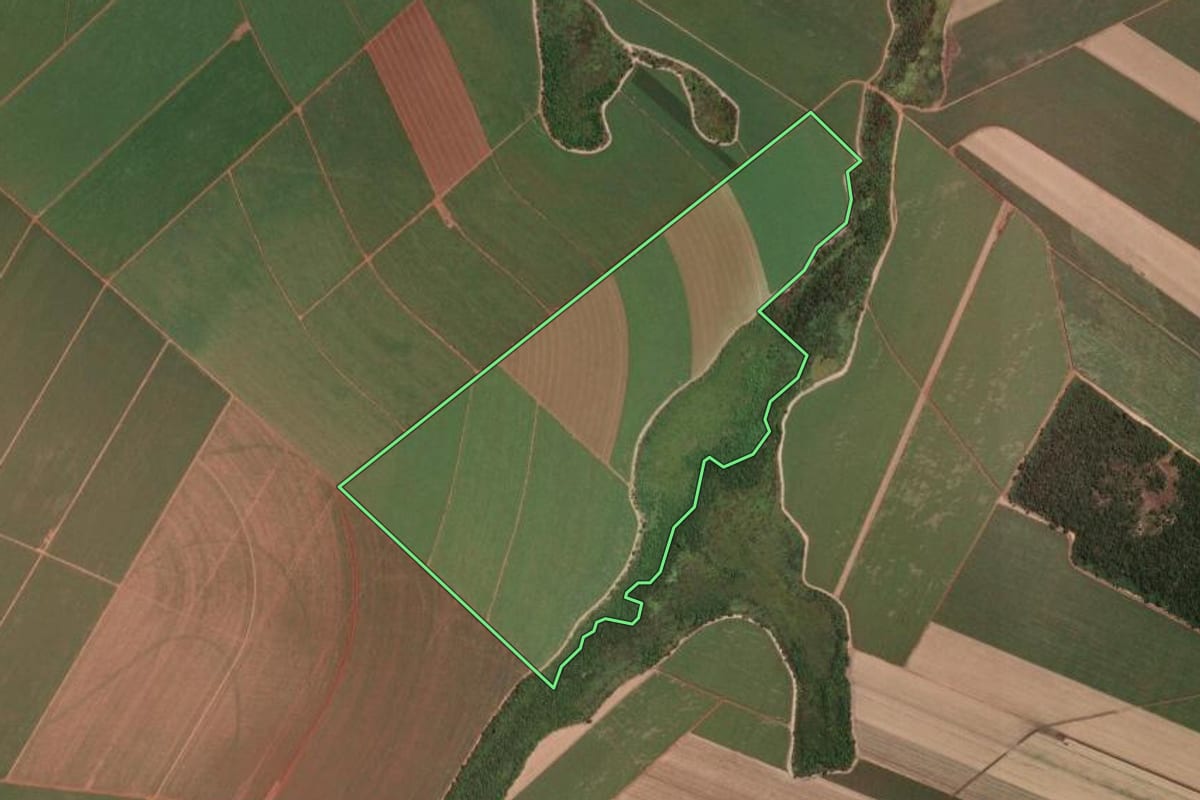 Imagem de satélite do imóvel rural em Guatapará (SP), com o contorno declarado no CAR desenhado por cima.