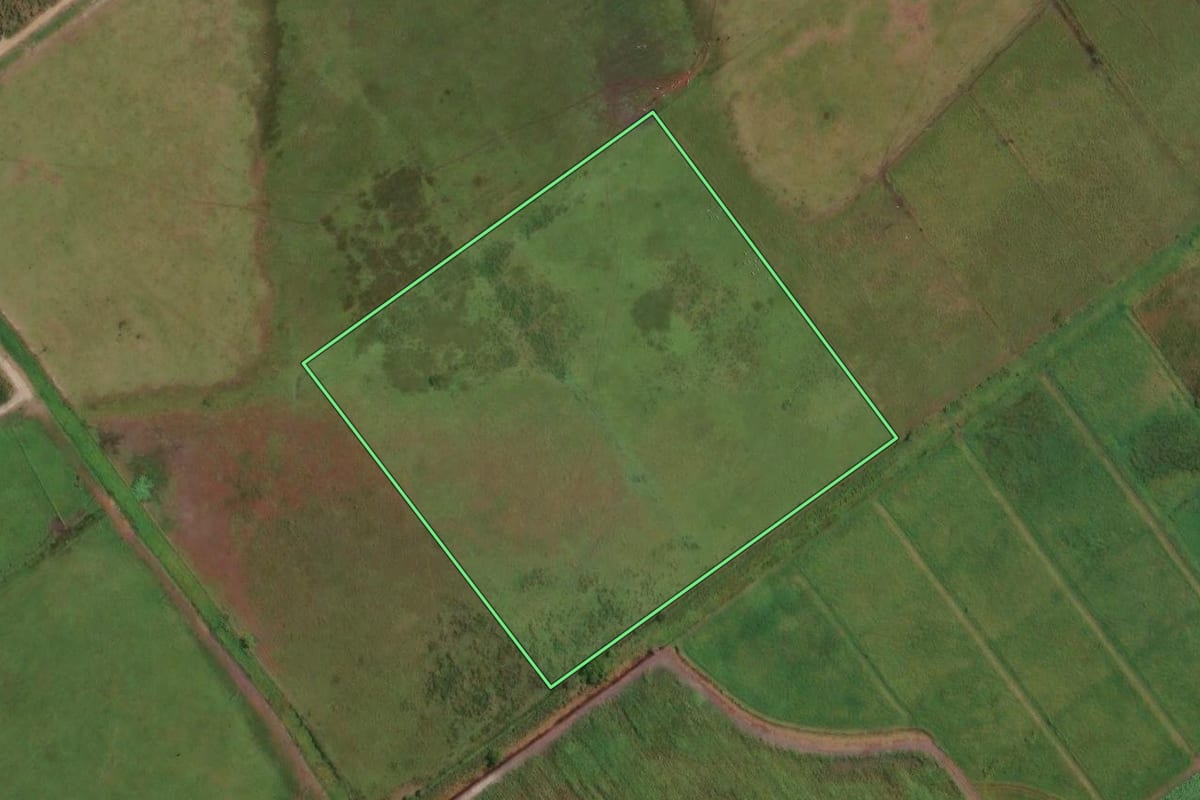 Imagem de satélite do imóvel rural em Guatapará (SP), com o contorno declarado no CAR desenhado por cima.