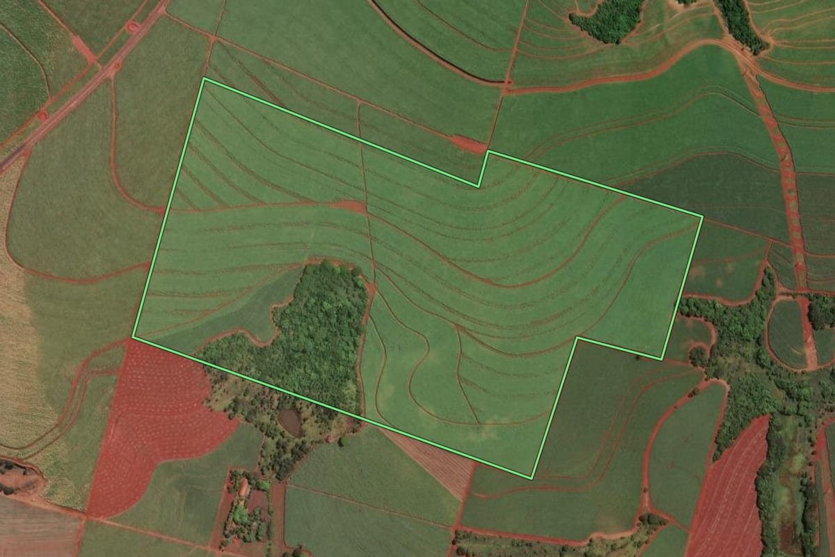 Imagem de satélite do imóvel rural em Guatapará (SP), com o contorno declarado no CAR desenhado por cima.