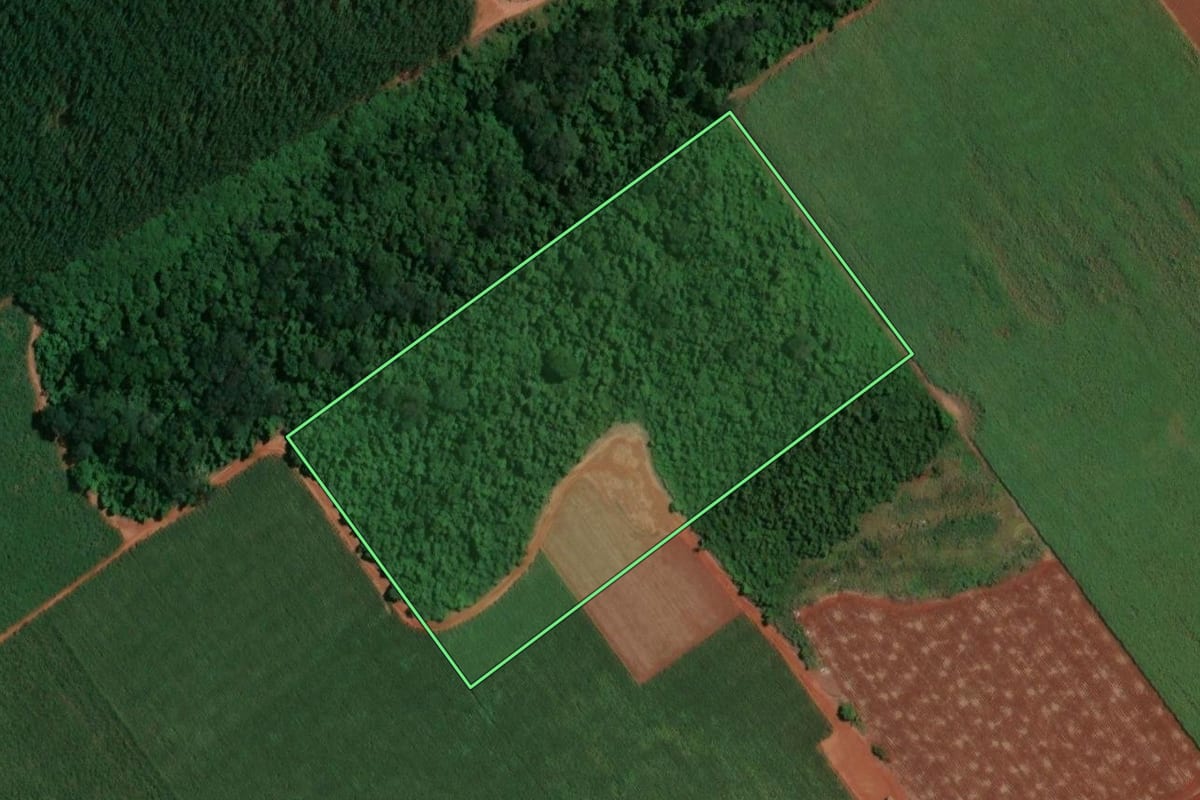 Imagem de satélite do imóvel rural em Guatapará (SP), com o contorno declarado no CAR desenhado por cima.