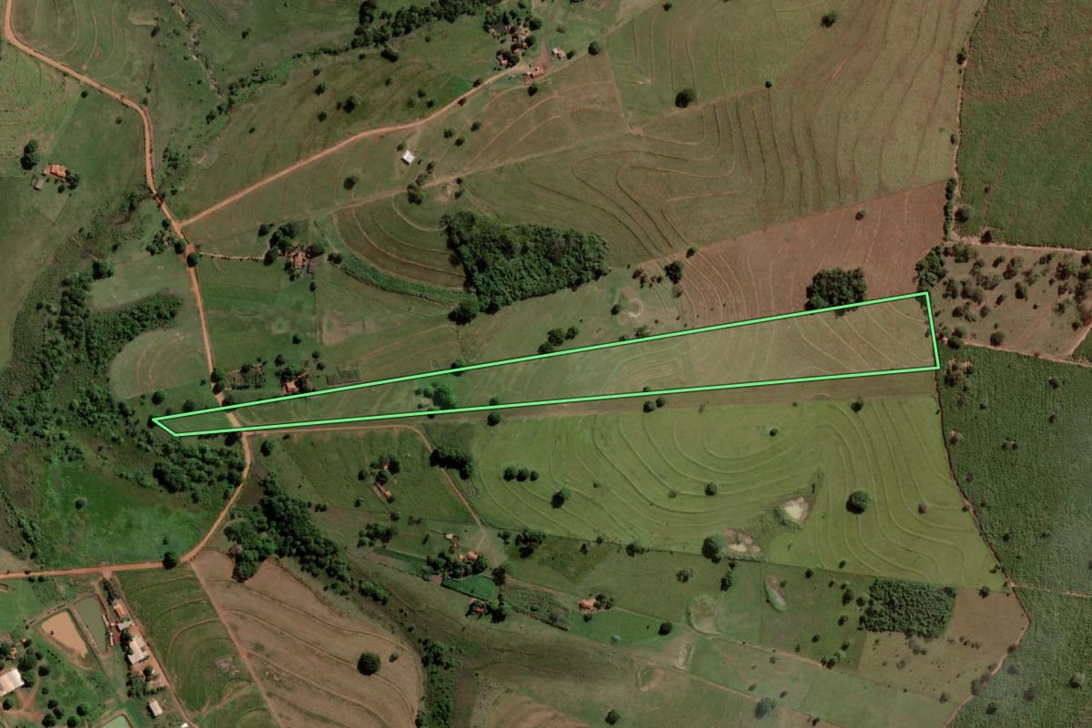 Imagem de satélite do imóvel rural em Guzolândia (SP), com o contorno declarado no CAR desenhado por cima.