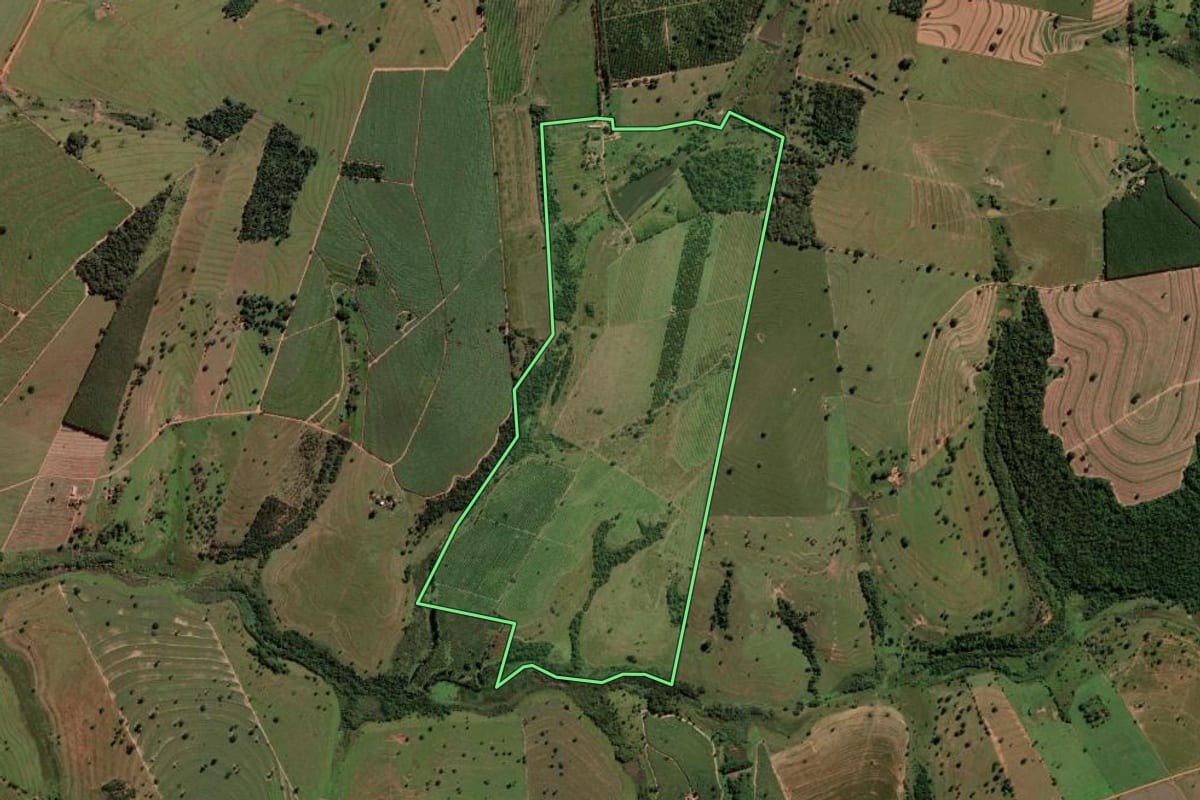 Imagem de satélite do imóvel rural em Guzolândia (SP), com o contorno declarado no CAR desenhado por cima.