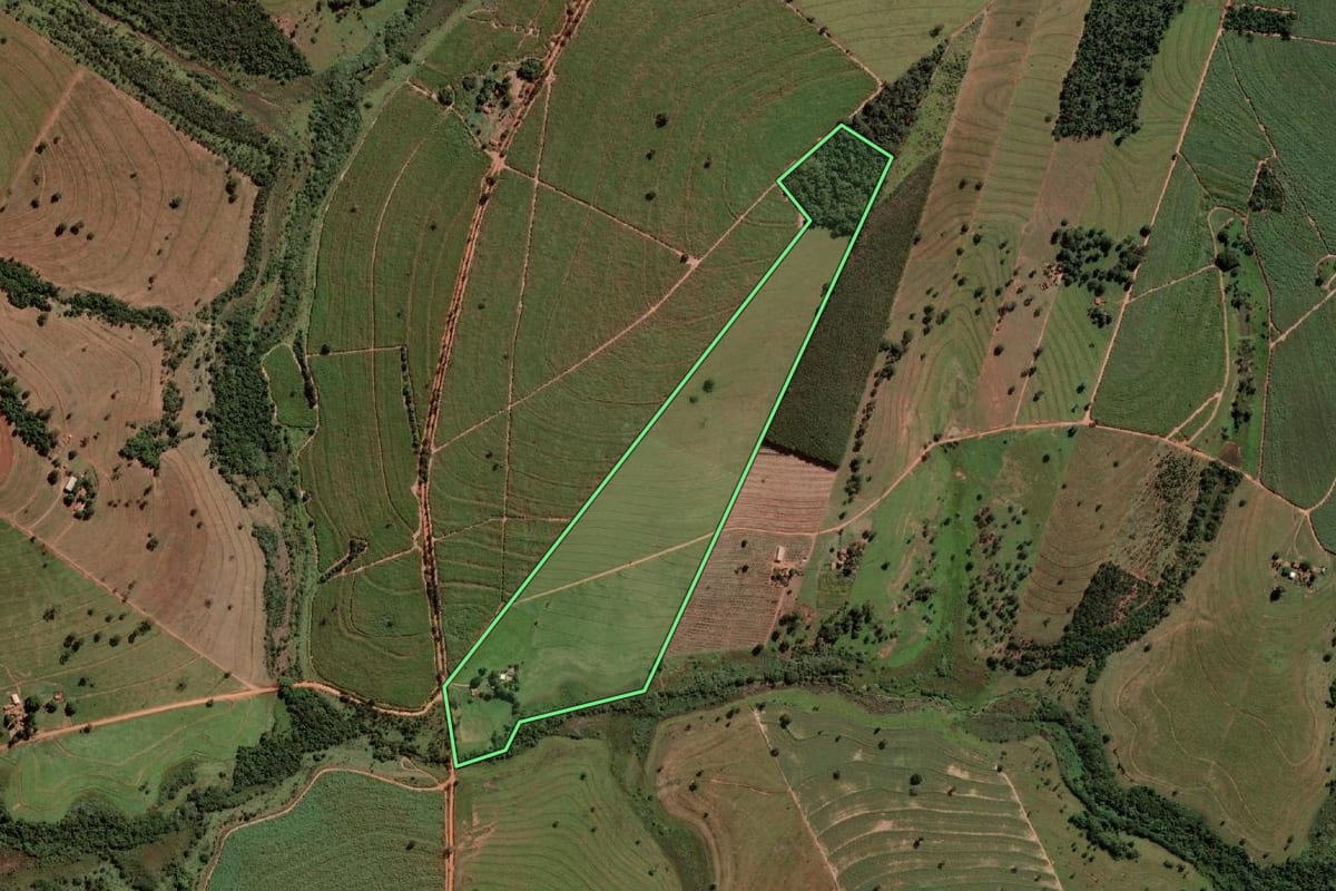 Imagem de satélite do imóvel rural em Guzolândia (SP), com o contorno declarado no CAR desenhado por cima.
