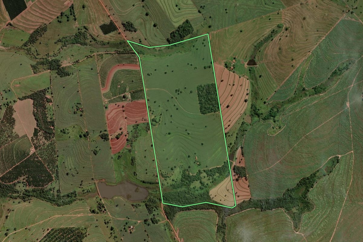 Imagem de satélite do imóvel rural em Guzolândia (SP), com o contorno declarado no CAR desenhado por cima.